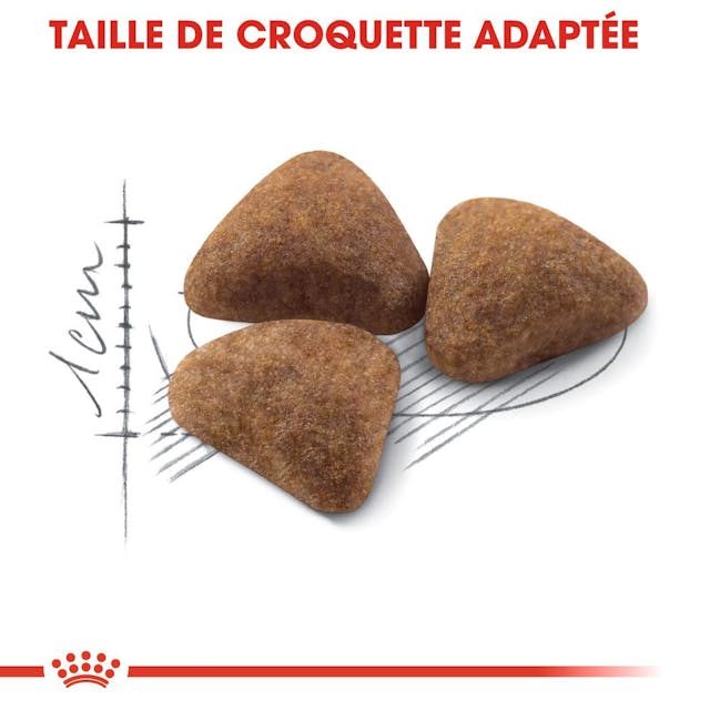 Royal Canin Indoor 27 - Dry Cat Food for Indoor Cats (2kg)