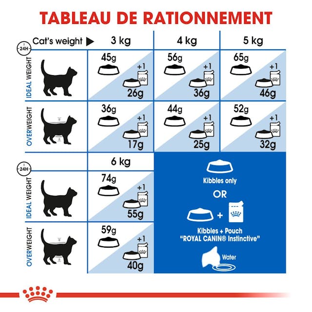 Royal Canin Indoor 27 - Dry Cat Food for Indoor Cats (2kg)