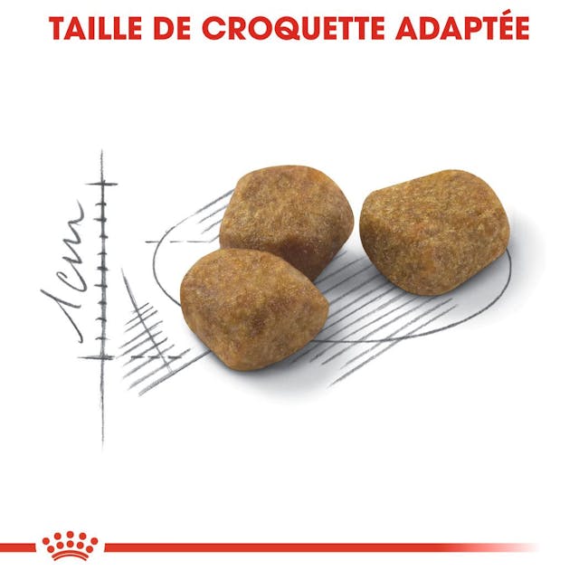 Royal Canin Indoor +7 – Specialized Nutrition for Senior Indoor Cats
