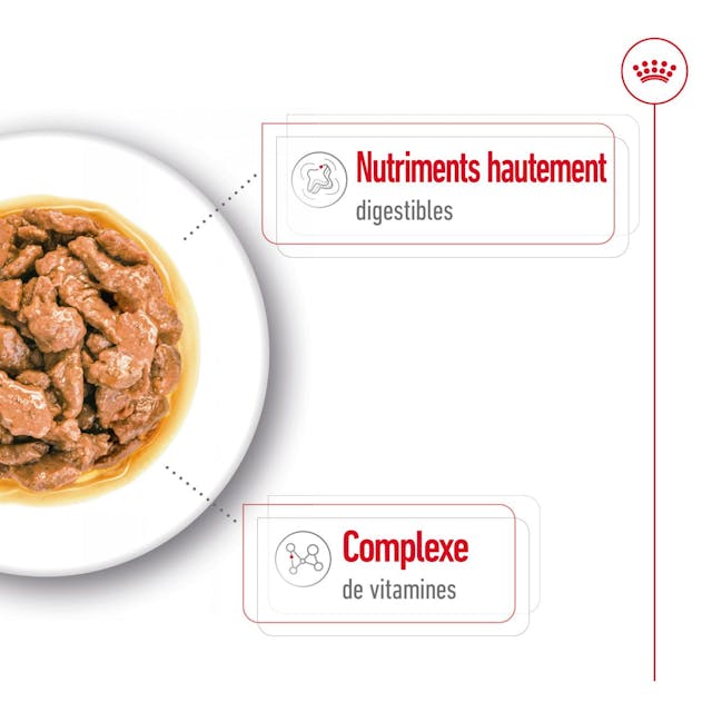 Royal Canin Mini Adult - Morsels in Gravy - Wet Dog Food (85g)