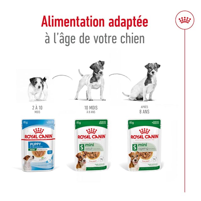 Royal Canin Mini Adult - Morsels in Gravy - Wet Dog Food (85g)