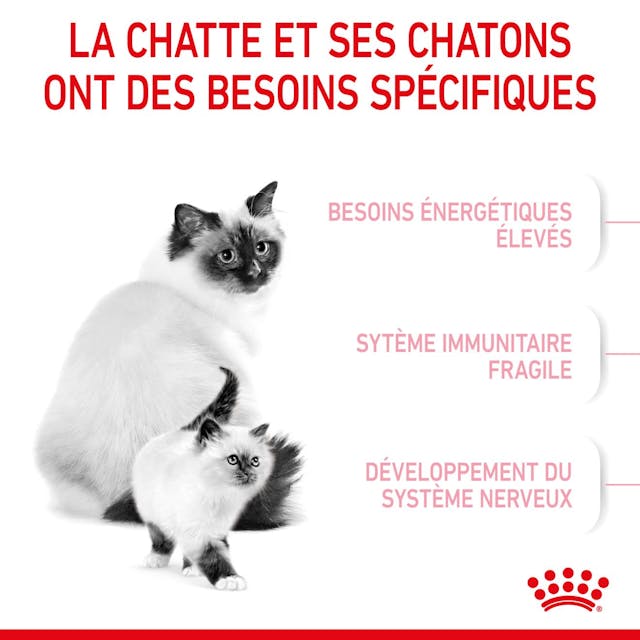 Royal Canin Mother & Babycat - Dry Cat Food (2kg)
