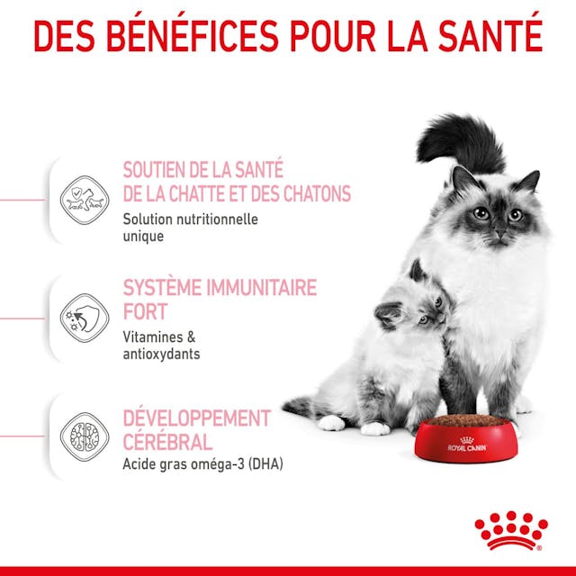 Royal Canin Mother & Babycat - Dry Cat Food (2kg)