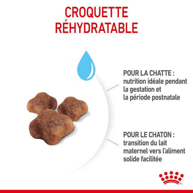 Royal Canin Mother & Babycat - Dry Cat Food (2kg)