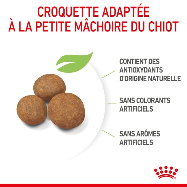 Royal Canin Maxi Puppy - Dry Dog Food (4kg,15kg)