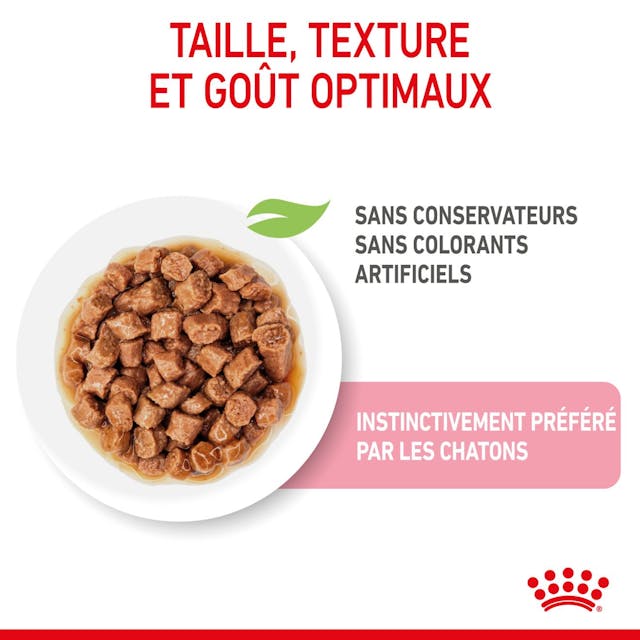 Royal Canin Kitten Chunks in Gravy - Wet Cat Food for Kittens (85g)