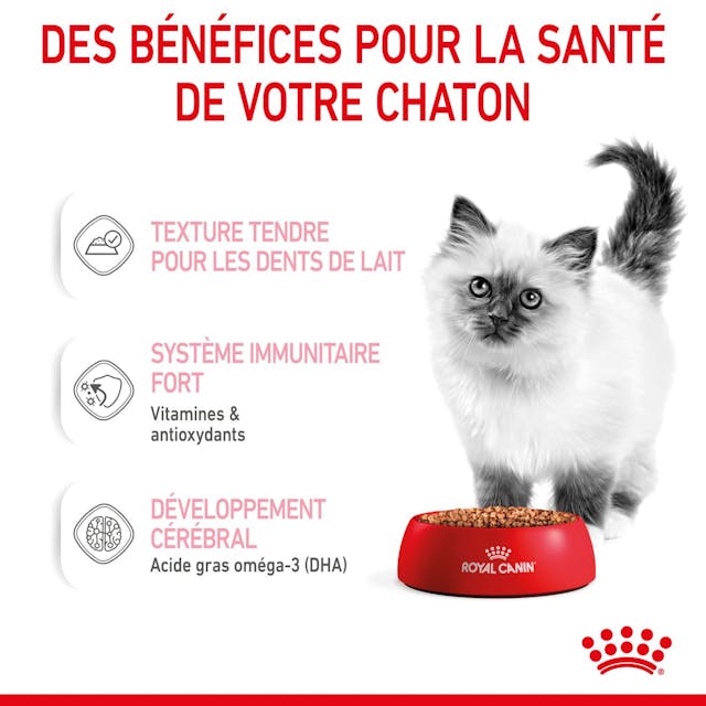 Royal Canin Kitten Chunks in Gravy - Wet Cat Food for Kittens (85g)