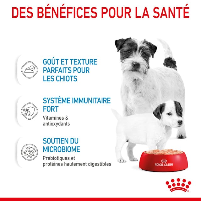 Royal Canin Starter Mother & Babydog Ultra Soft Mousse (195g)