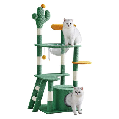 Arbre à Chat Cactus – Tour 135 cm avec Capsule et Condos