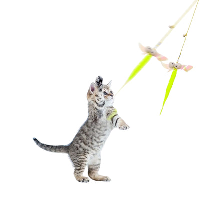 Jouet Suspendu pour Chat – Corde Élastique Réglable avec Souris