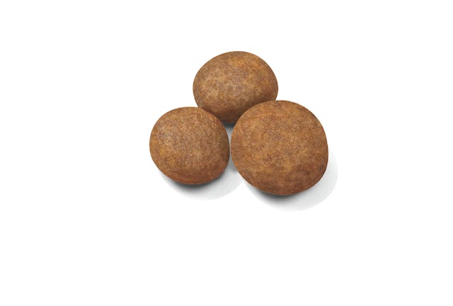 Royal Canin Maxi Puppy - Dry Dog Food (4kg,15kg)