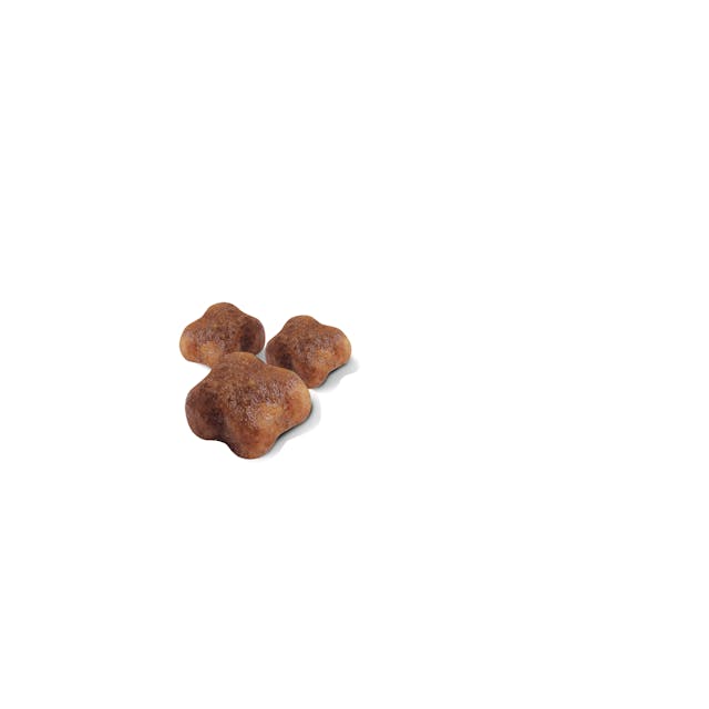 Royal Canin Mother & Babycat - Dry Cat Food (2kg)