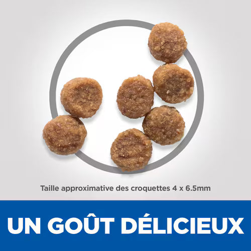 Croquettes pour chiot petite race Hill’s Science Plan – Poulet (6 kg)
