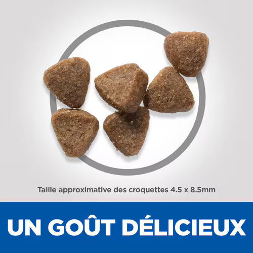 Croquettes pour chaton  – Recette au poulet – Hill’s Science Plan 300 g / 1,5 kg / 3 kg
