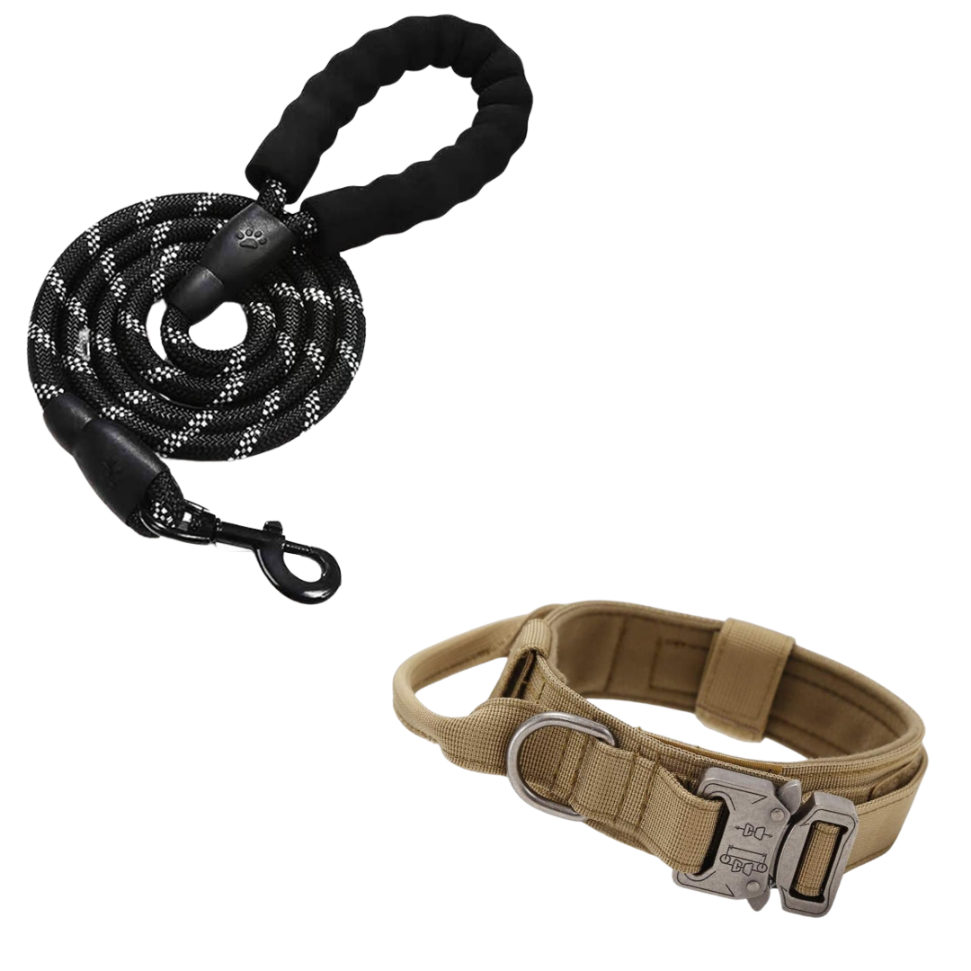 Pack Collier Robuste + Laisse pour Chien