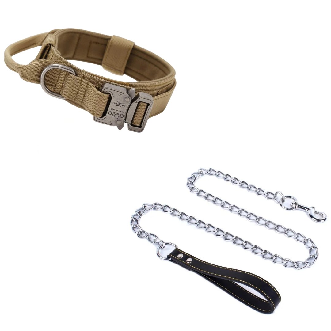 Pack Collier Robuste + Laisse en Chaîne Métallique