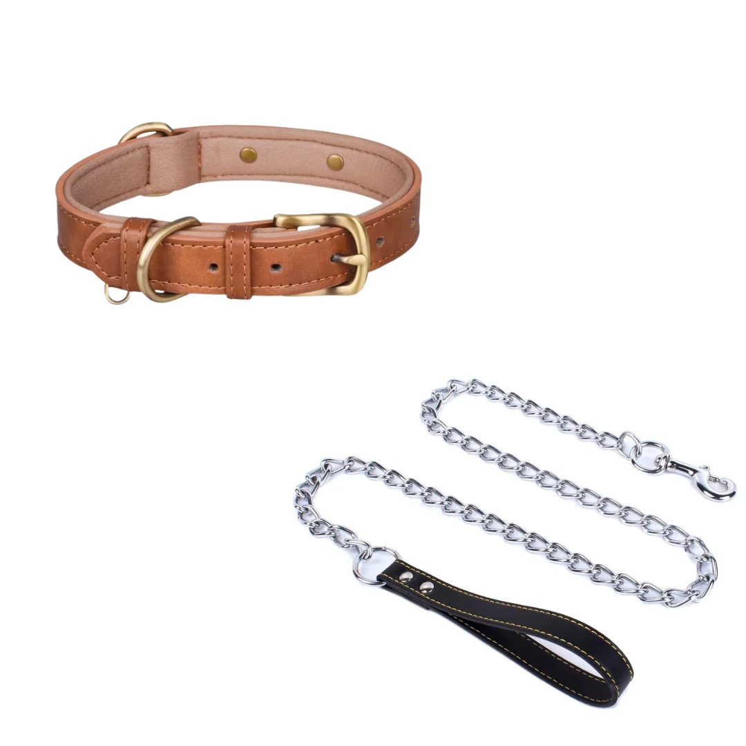 Pack Collier en Cuir + Laisse en Chaîne Métallique