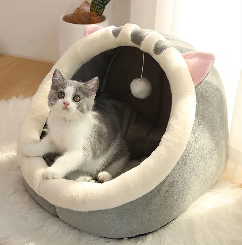 Jouet Plume + Lit Douillet pour Chat