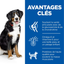 Hill’s Science Plan Large Breed Adult Dog Food – Chicken 14 kg