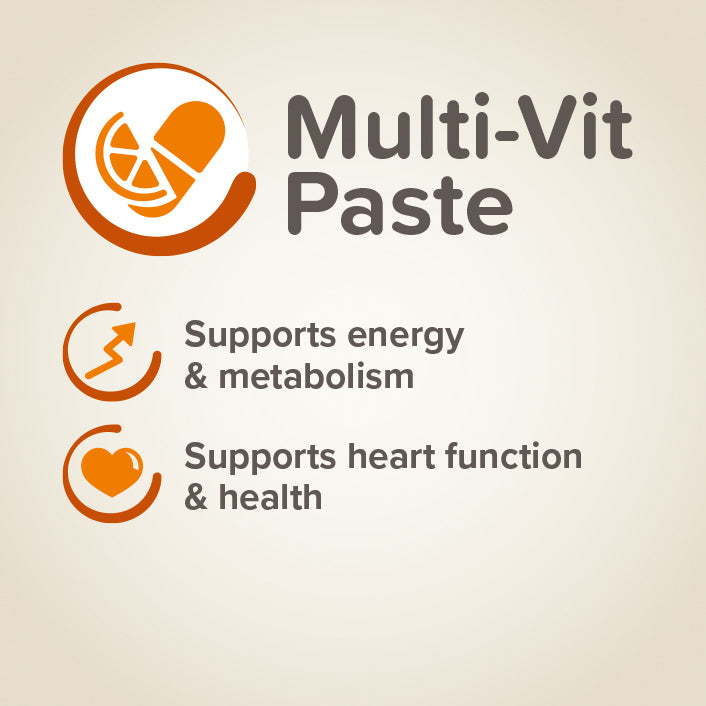 Beaphar Multi-Vitamin Paste for Dogs – 100 g