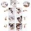Jouet Interactif pour Chat – Baguette avec Plumes (7 Pièces)
