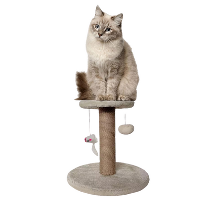 Arbre à chat – Base en bois avec corde de chanvre et jouet