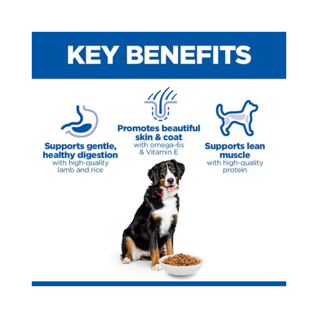 Hill’s Science Plan Chien Adulte Grande Race Agneau & Riz 14 kg