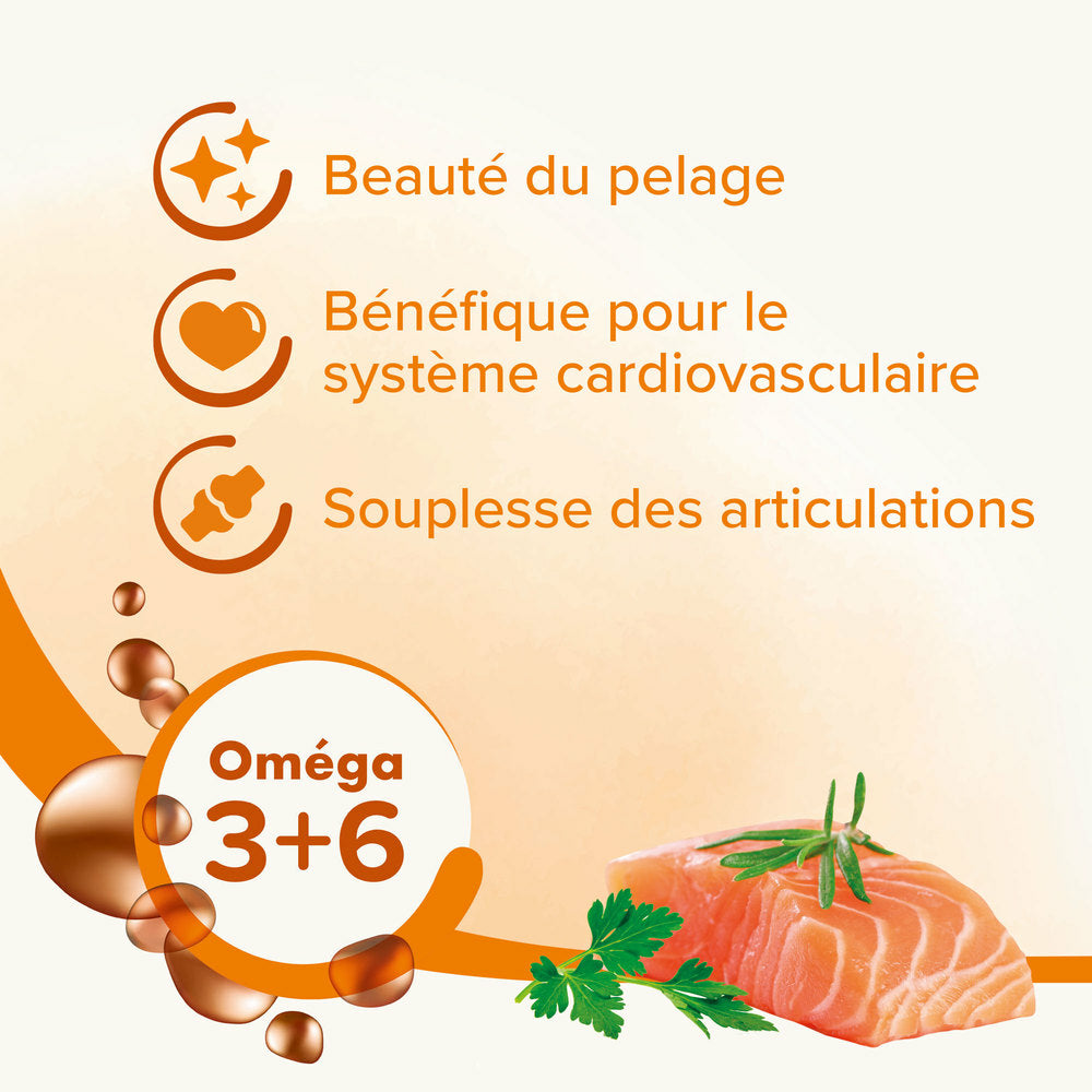 Beaphar Salmon Oil for Dogs & Cats – 430 ml