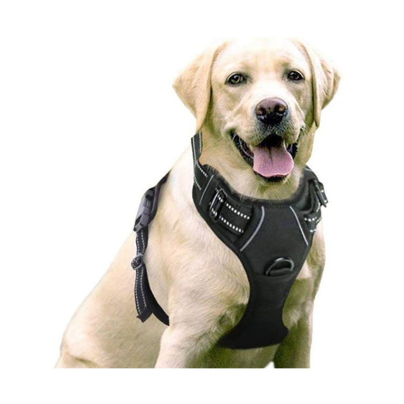 Harnais pour chiens de taille  grande