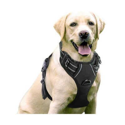 Harnais pour chiens de taille  grande