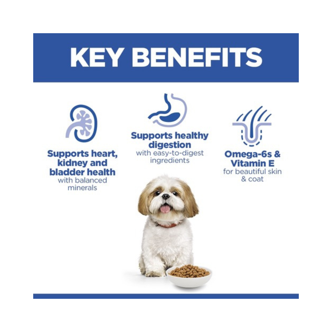 Hill’s Science Plan Croquettes Chien Senior Small & Mini Poulet