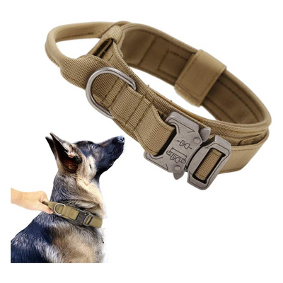 Collier pour chien robuste et confortable
