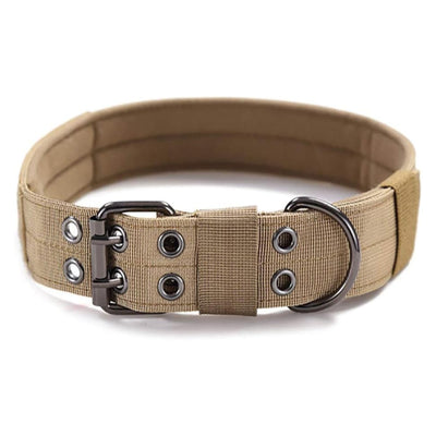 Collier pour Grands Chiens – Nylon Résistant avec Boucle Métallique