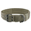 Collier pour Grands Chiens – Nylon Résistant avec Boucle Métallique