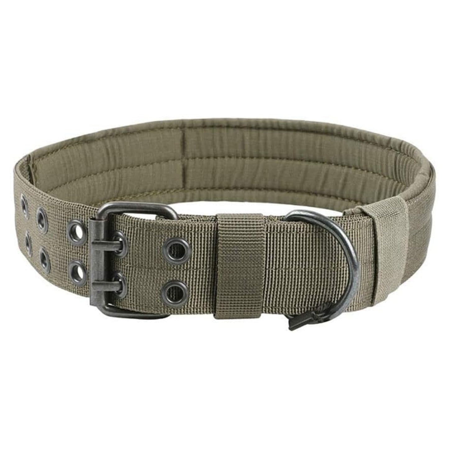 Collier pour Grands Chiens – Nylon Résistant avec Boucle Métallique