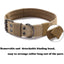 Collier pour Grands Chiens – Nylon Résistant avec Boucle Métallique