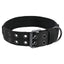 Collier pour Grands Chiens – Nylon Résistant avec Boucle Métallique