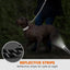Laisse pour chien – Durable et confortable