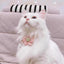 Collier de Chat Sécurité avec Clochette – Réglable & Mignon