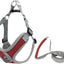 Dog Harness and Leash - Customizable Fit