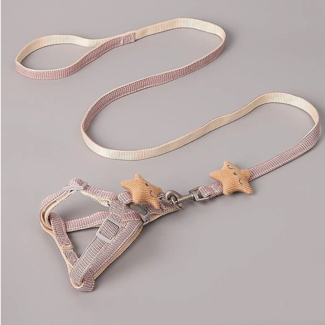 Harnais avec Laisse pour Chien et Chat – Set Ajustable