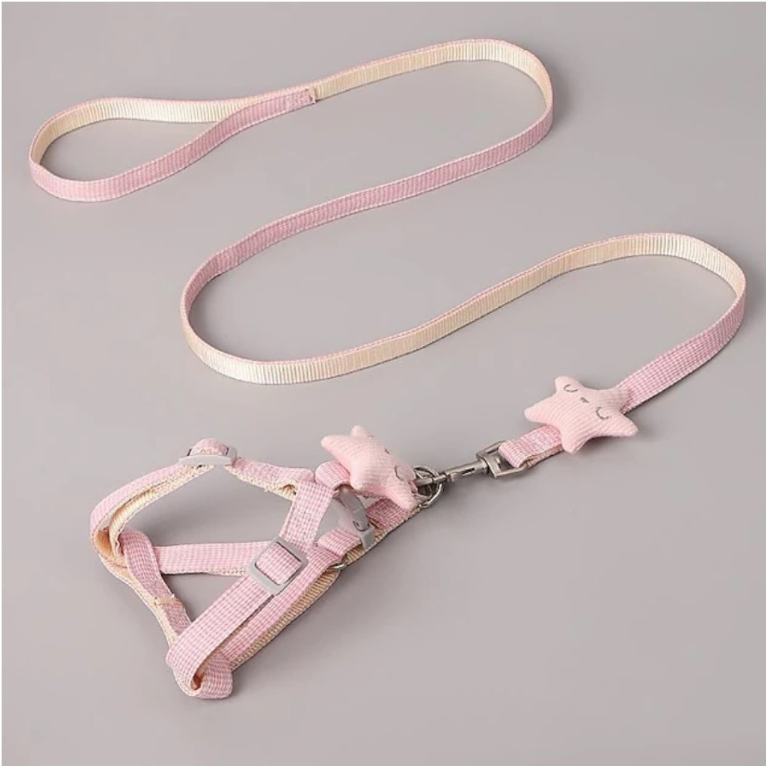 Harnais avec Laisse pour Chien et Chat – Set Ajustable