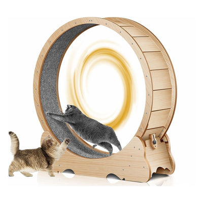 Roue d’Exercice pour Chat – Tapis de Course Intérieur