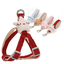 Harnais avec Laisse pour Chien et Chat – Set Ajustable