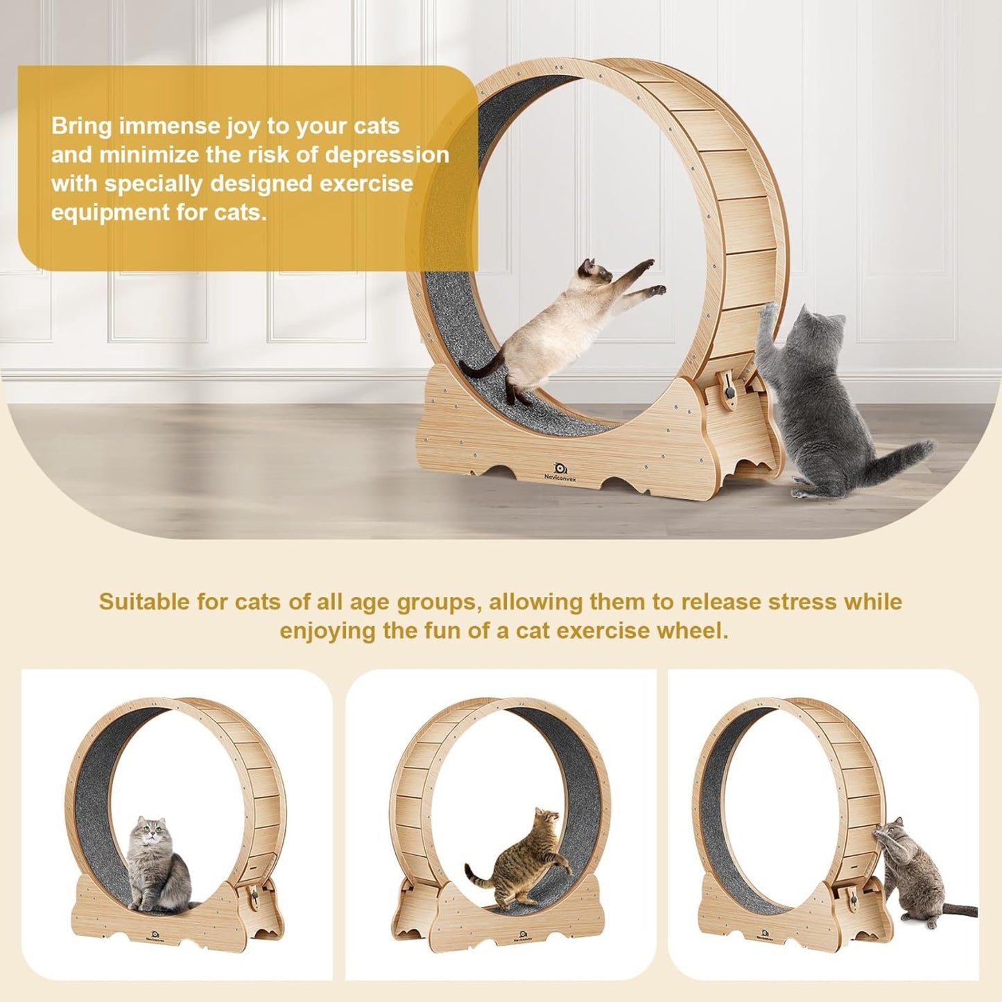Roue d’Exercice pour Chat – Tapis de Course Intérieur