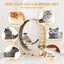 Roue d’Exercice pour Chat – Tapis de Course Intérieur