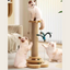 Jouet pour chat en bois avec griffoir en sisal et plateau tournant