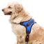 Harnais pour Chien – Harnais Ajustable Rembourré avec Poignée