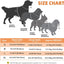 No-Pull Dog Harness with Handle – Adjustable & Breathable