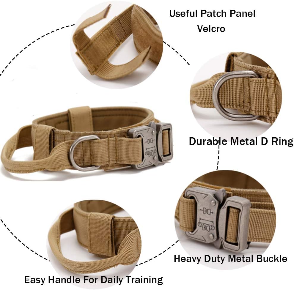 Collier pour chien robuste et confortable